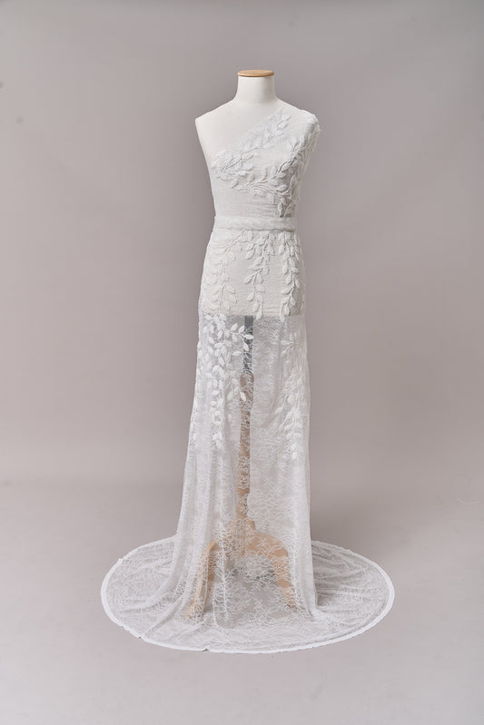 S0702 - Embroidered lace with off-white beads