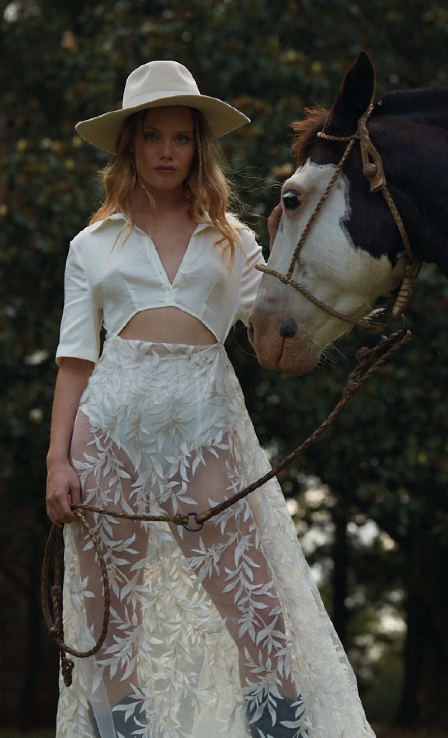 S0377 EMBROIDERY TULLE WITH GOLDEN LUREX