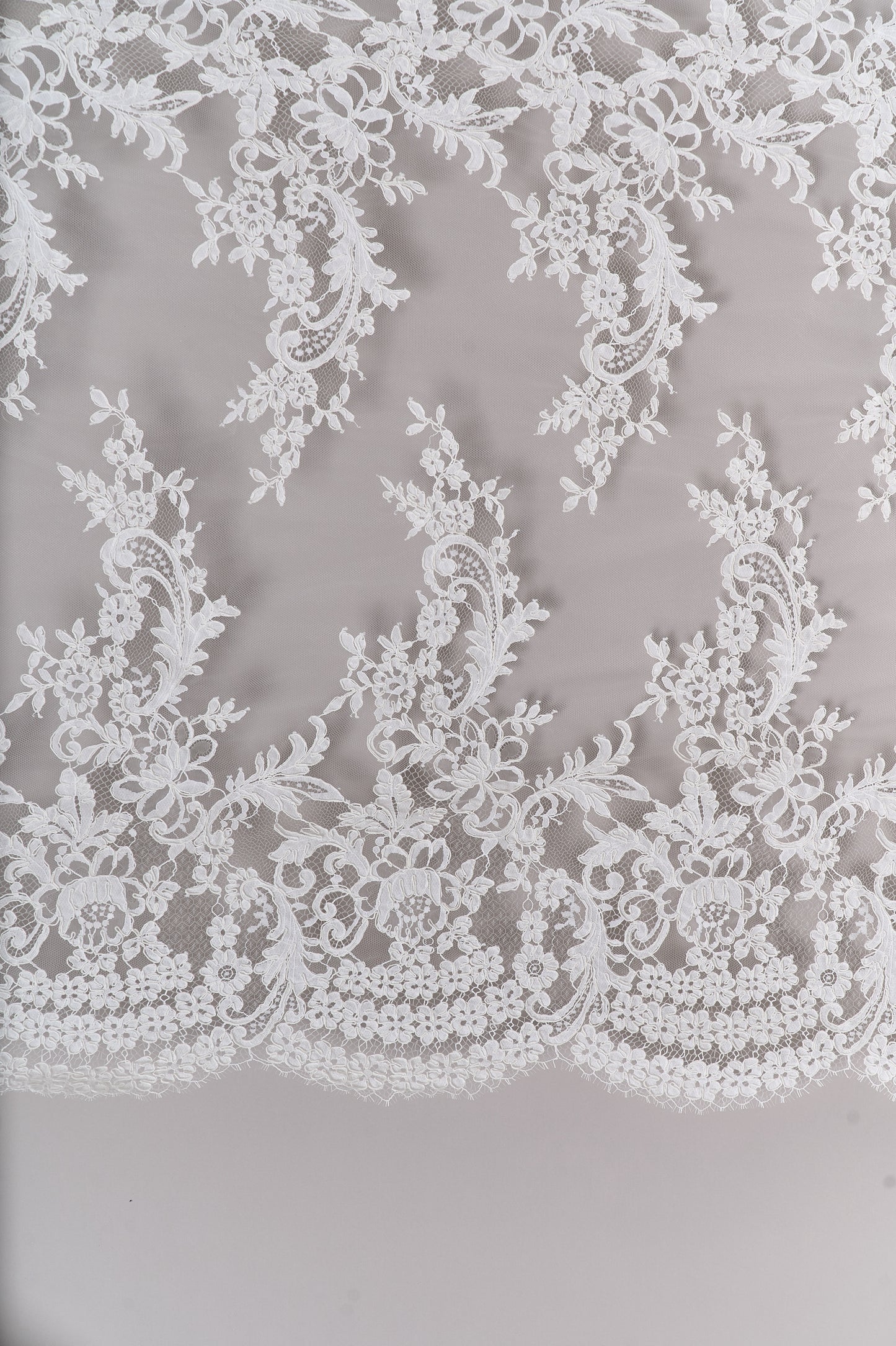 S0688 - Corded lace (rebrodé lace)