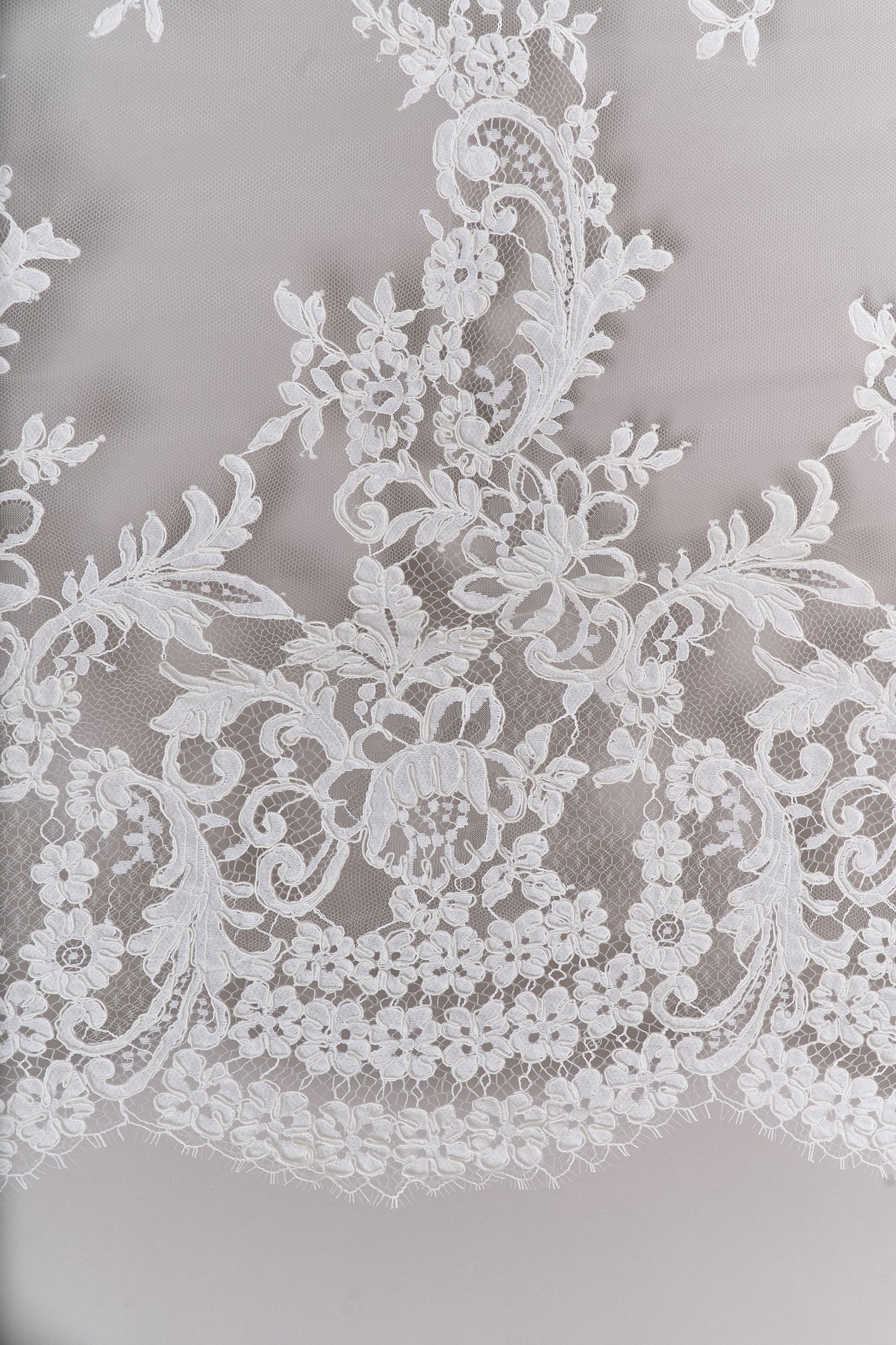 S0688 - Corded lace (rebrodé lace)