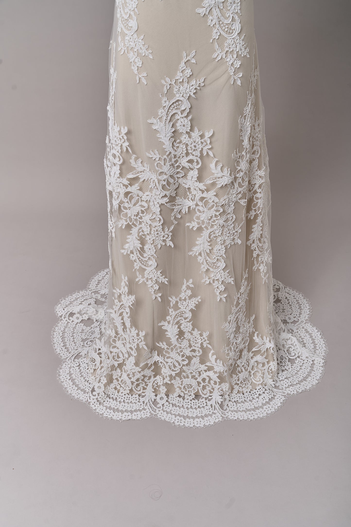 S0688 - Corded lace (rebrodé lace)