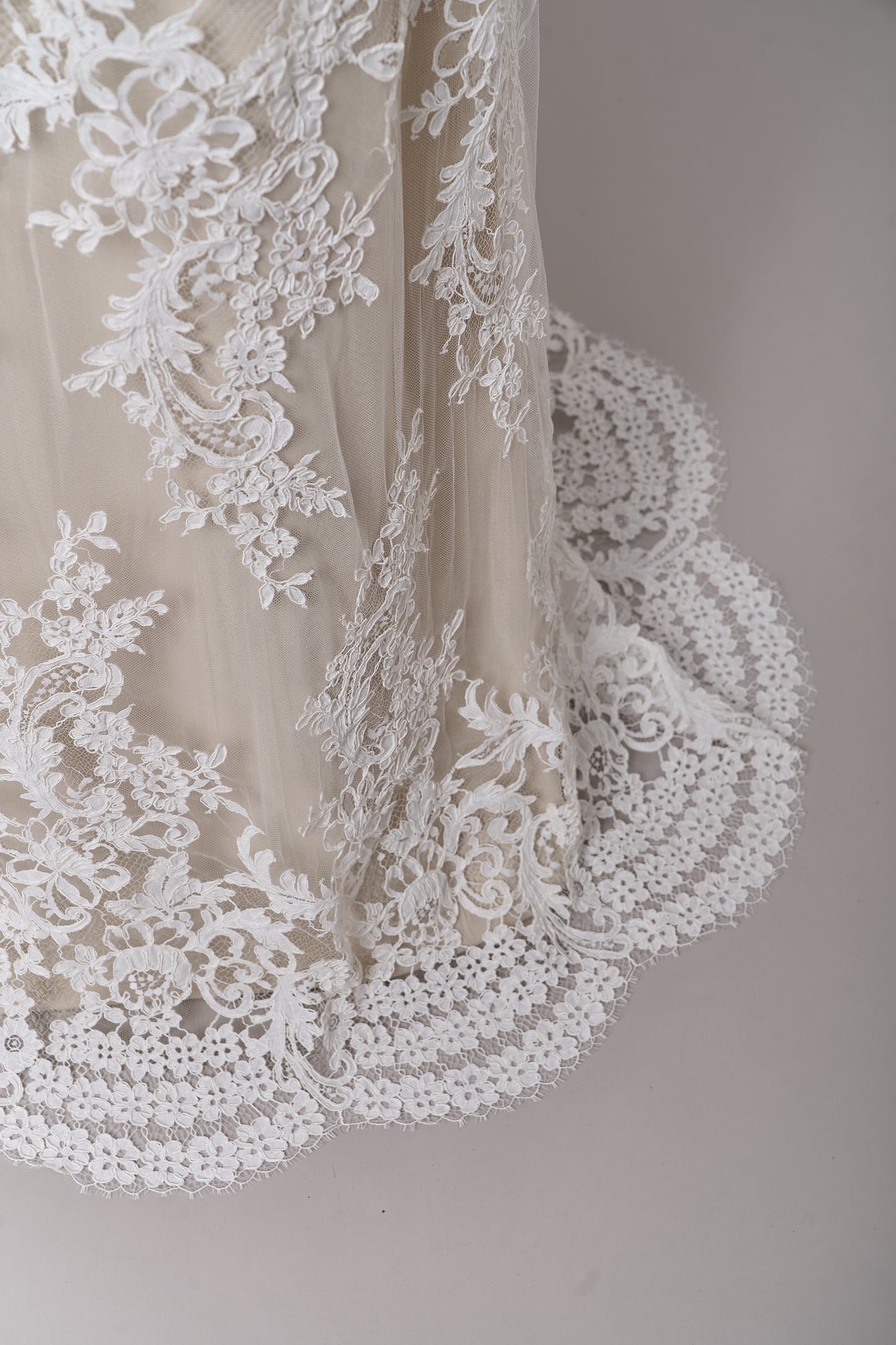 S0688 - Corded lace (rebrodé lace)