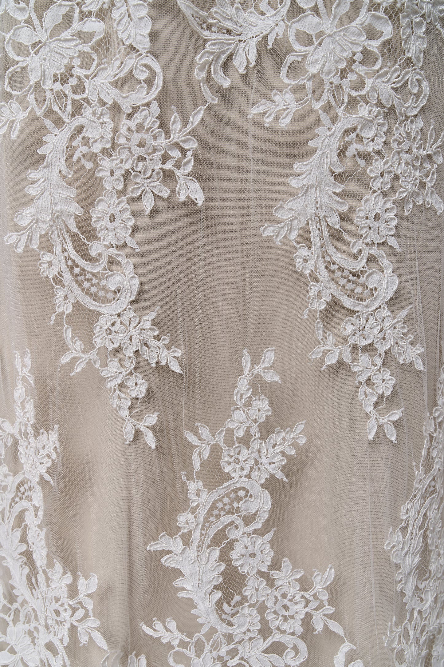 S0688 - Corded lace (rebrodé lace)