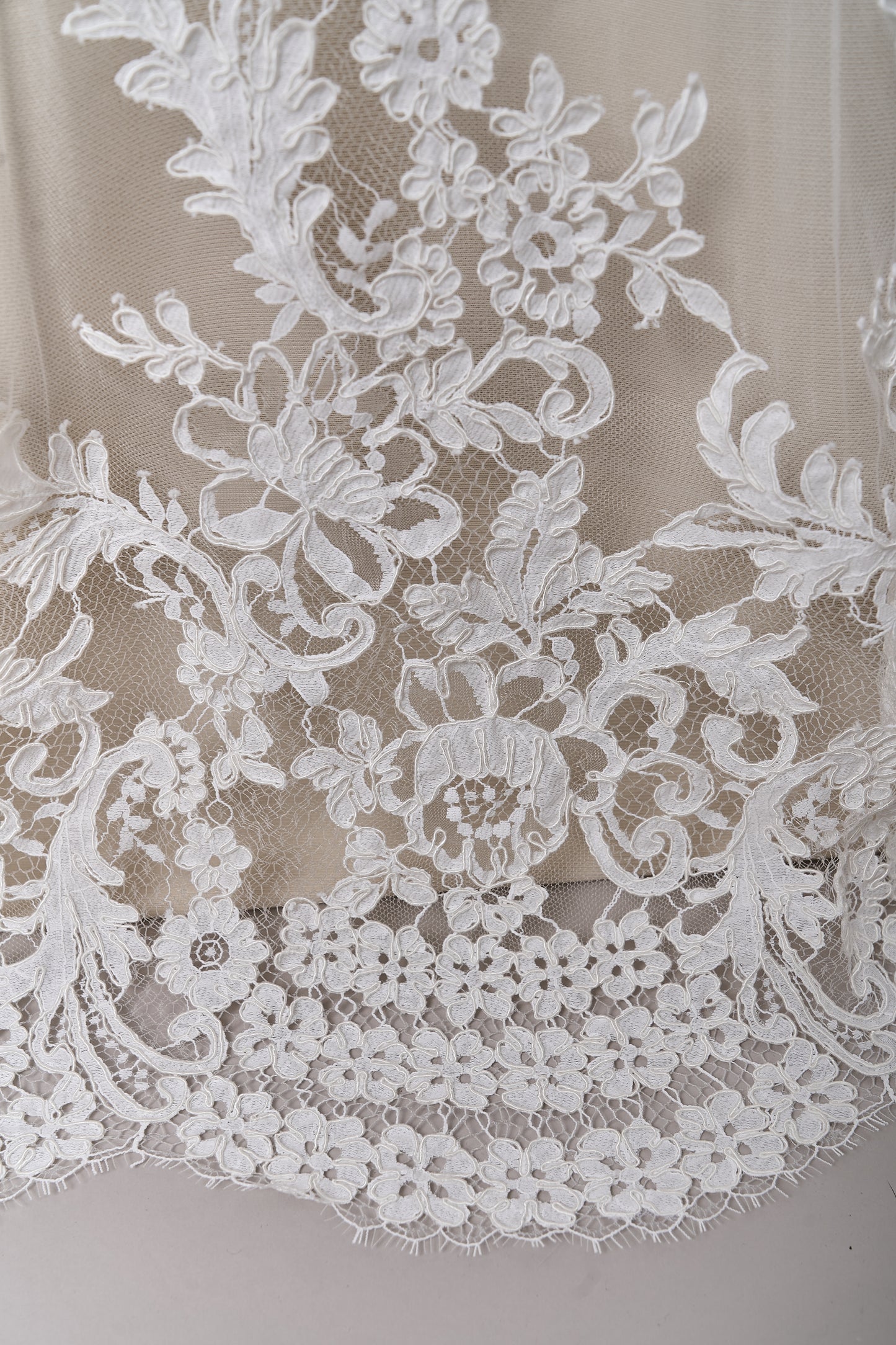 S0688 - Corded lace (rebrodé lace)
