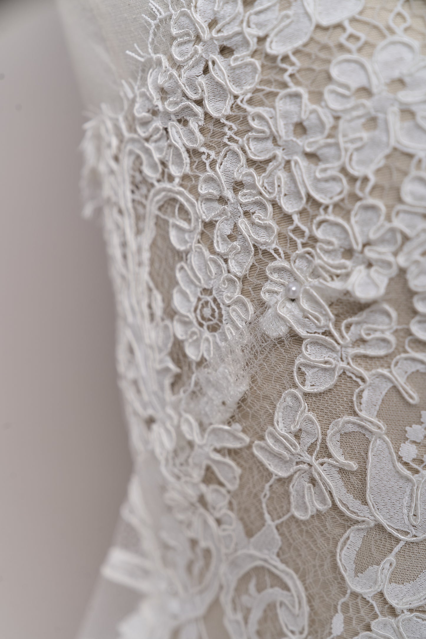 S0688 - Corded lace (rebrodé lace)