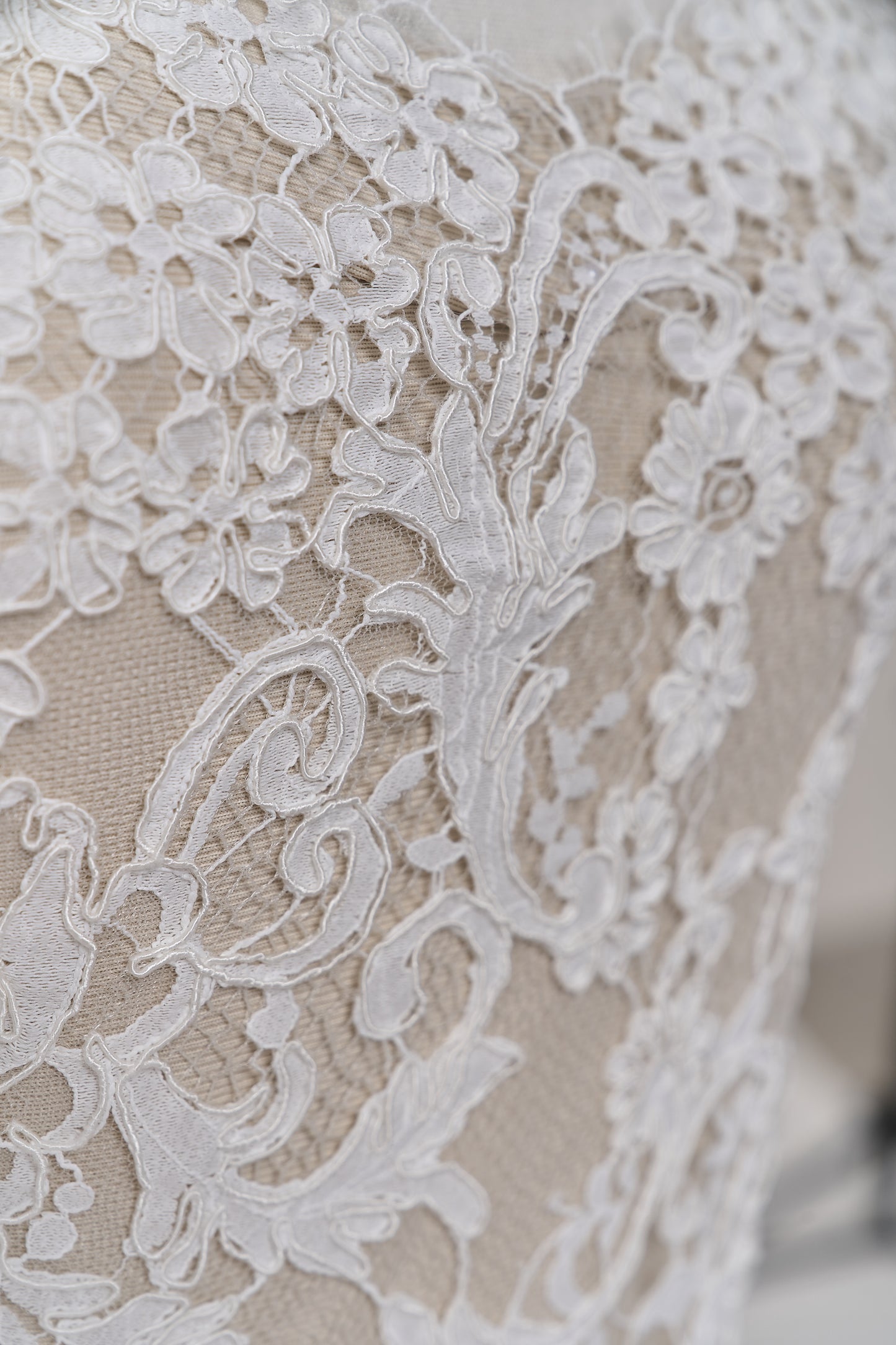 S0688 - Corded lace (rebrodé lace)